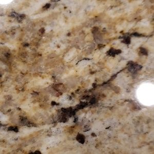 Meet your Posher, Lynn